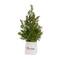 14.25" & 16.5" Unlit Pine Artificial Potted Christmas Tree Set